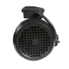 Pompe de massage Spa bi vitesse Whirlpool WP-300II | Sortie 2" | 3HP