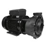 Pompe de massage Spa bi vitesse Whirlpool WP-300II | Sortie 2" | 3HP