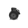 Pompe de circulation Spa | 1,5 HP